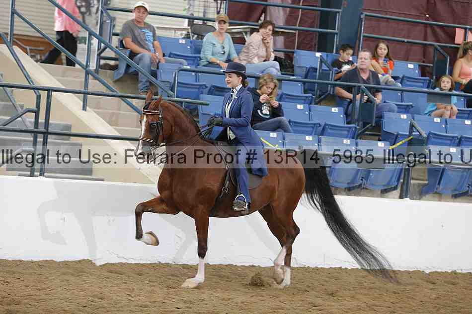 Proof Number 13r14_5985
