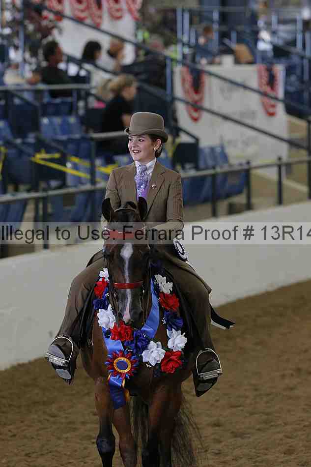 Proof Number 13r14_6005