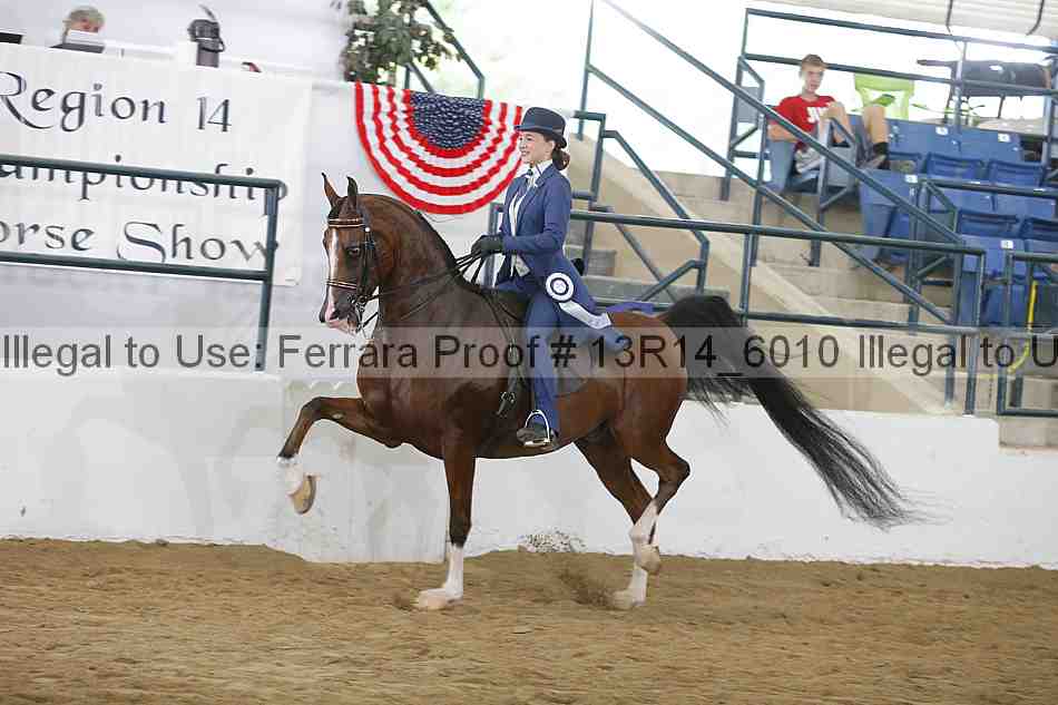 Proof Number 13r14_6010