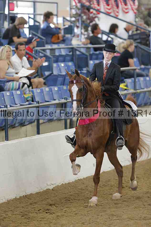Proof Number 13r14_6020