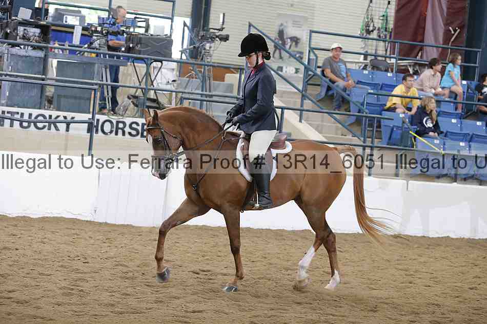 Proof Number 13r14_6051