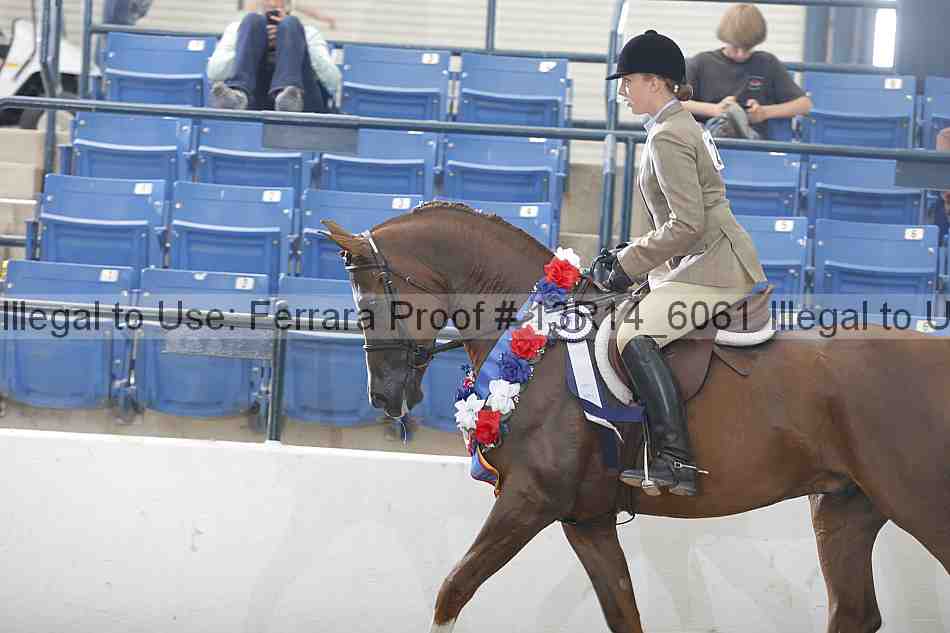 Proof Number 13r14_6061