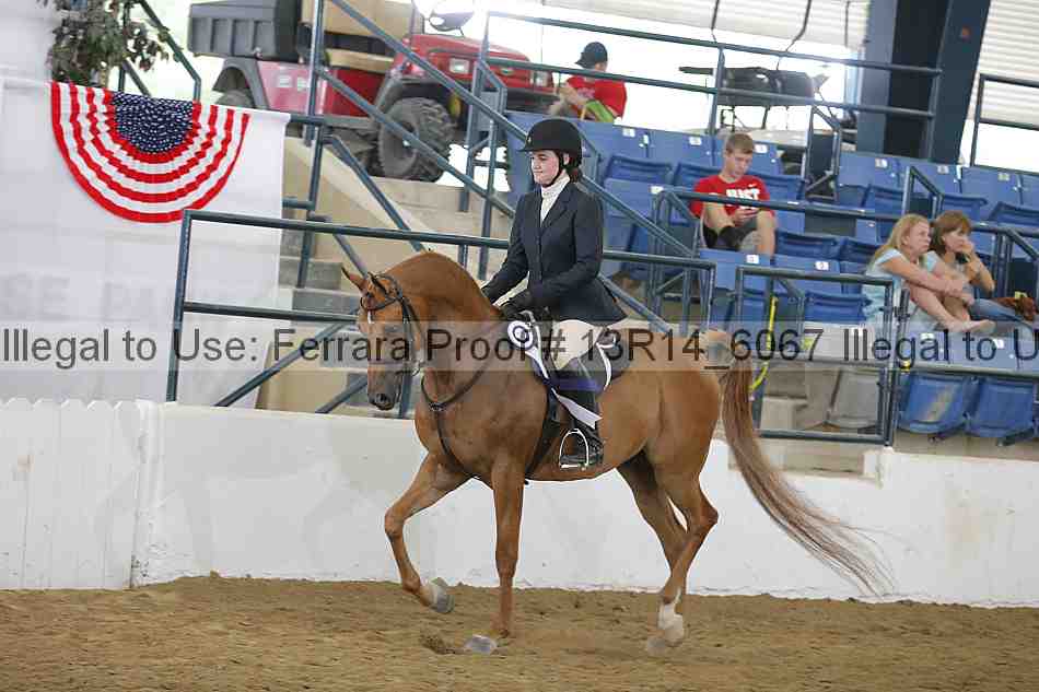 Proof Number 13r14_6067