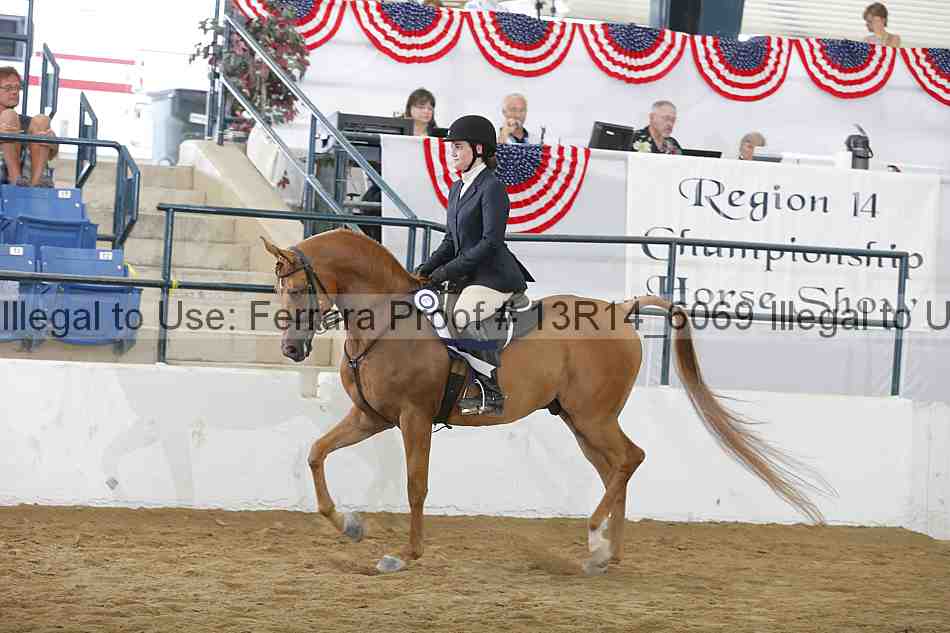 Proof Number 13r14_6069