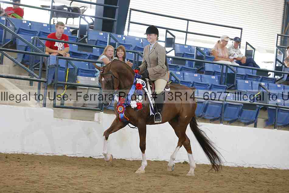 Proof Number 13r14_6077