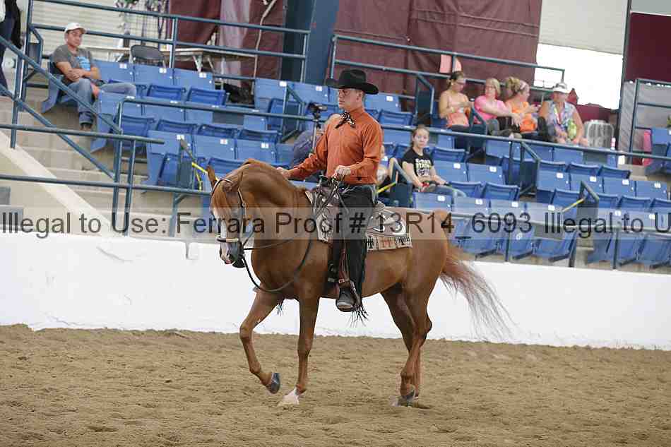 Proof Number 13r14_6093