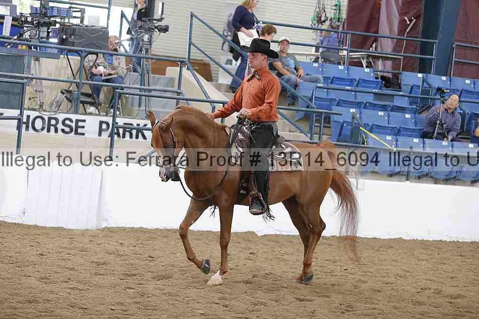 Proof Number 13r14_6094