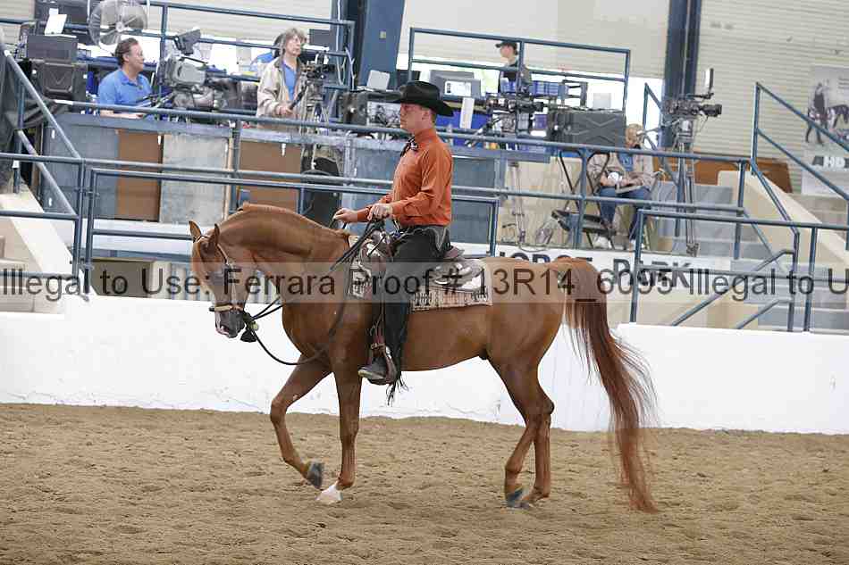 Proof Number 13r14_6095