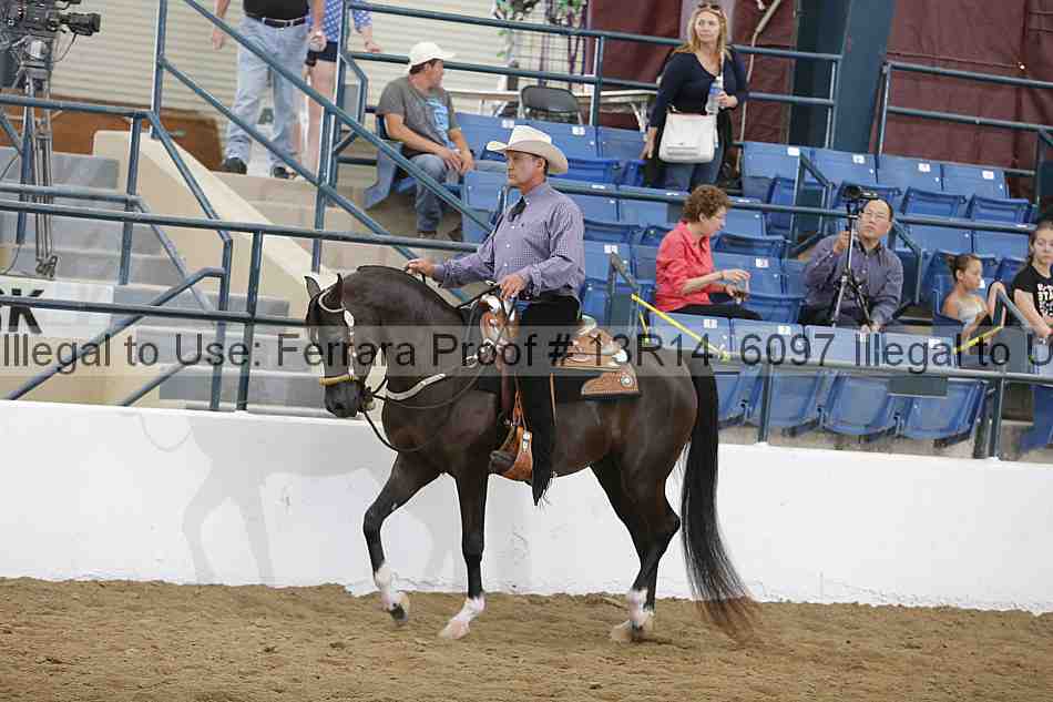 Proof Number 13r14_6097