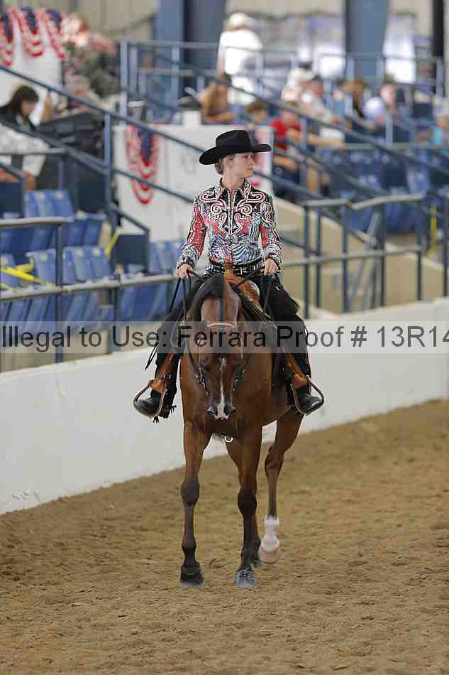 Proof Number 13r14_6104