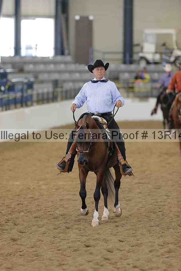 Proof Number 13r14_6106