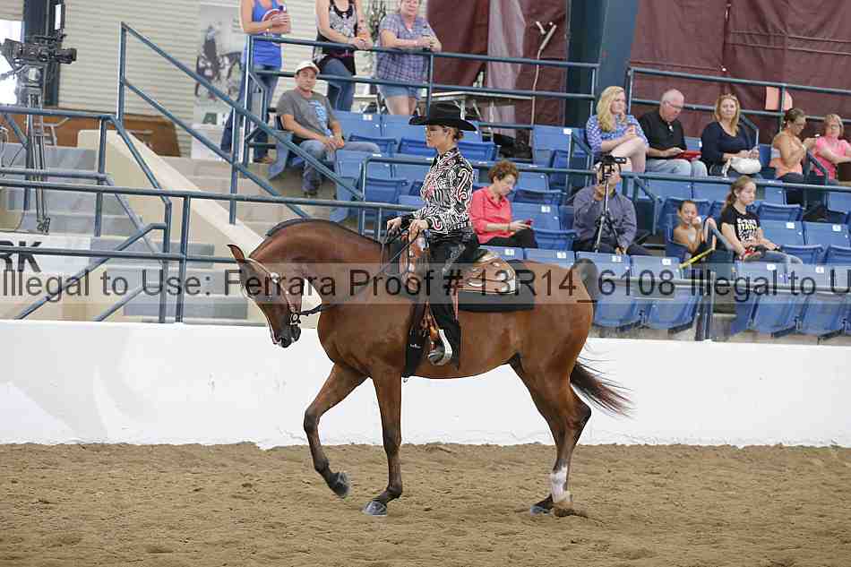 Proof Number 13r14_6108