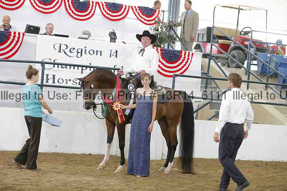 Proof Number 13r14_6111
