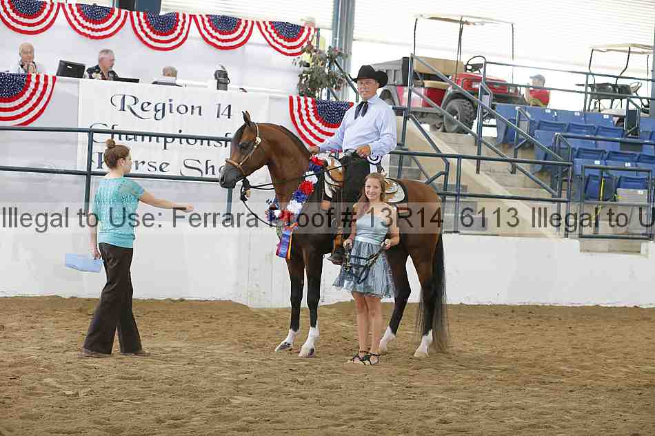 Proof Number 13r14_6113