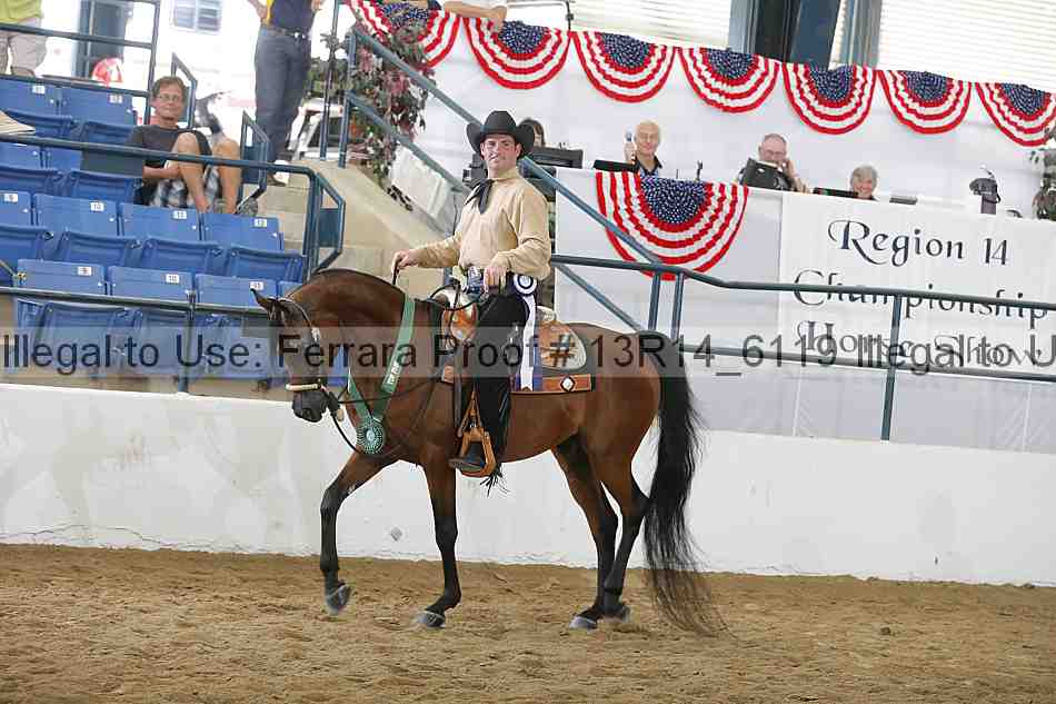 Proof Number 13r14_6119