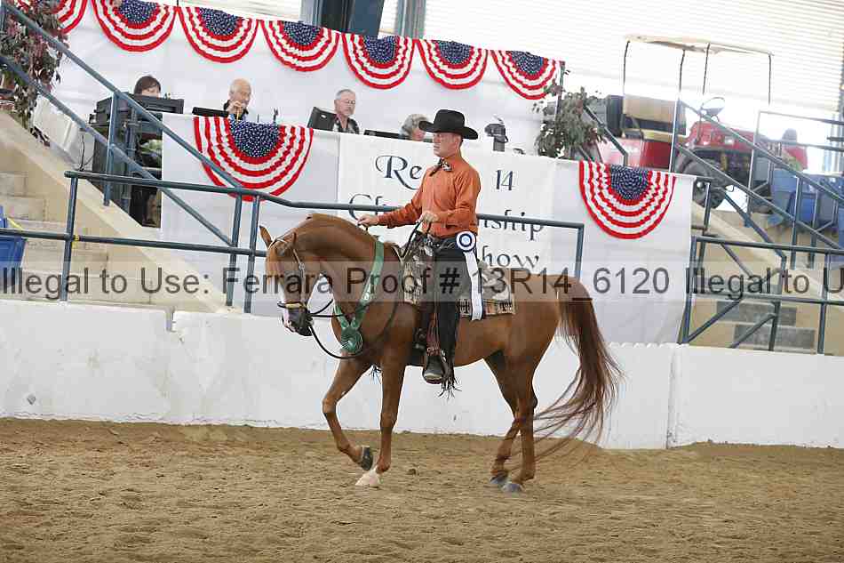 Proof Number 13r14_6120