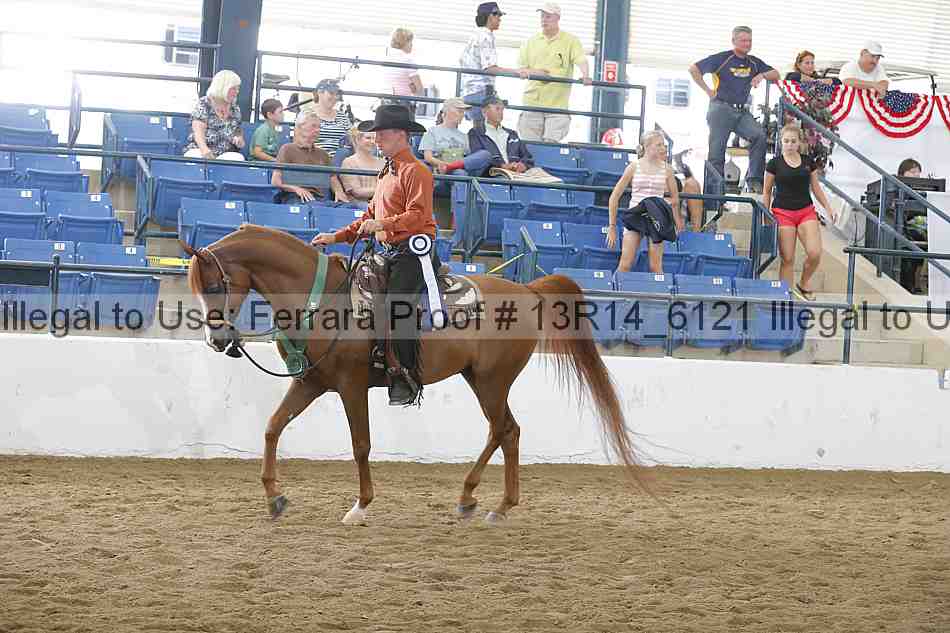 Proof Number 13r14_6121