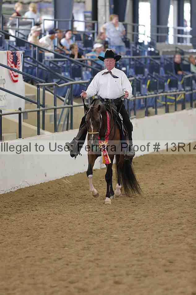 Proof Number 13r14_6126
