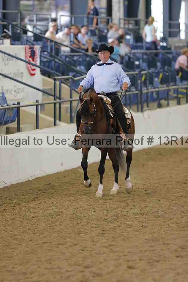 Proof Number 13r14_6131