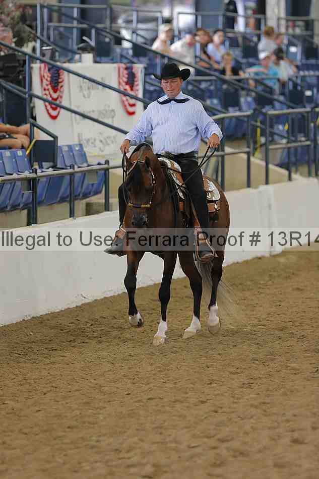 Proof Number 13r14_6132