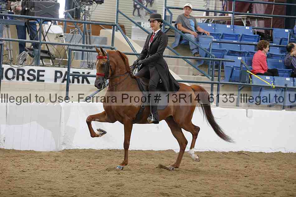 Proof Number 13r14_6135