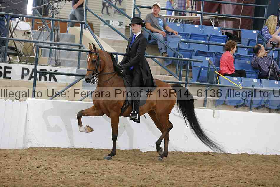 Proof Number 13r14_6136