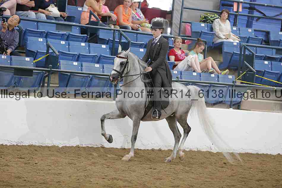 Proof Number 13r14_6138
