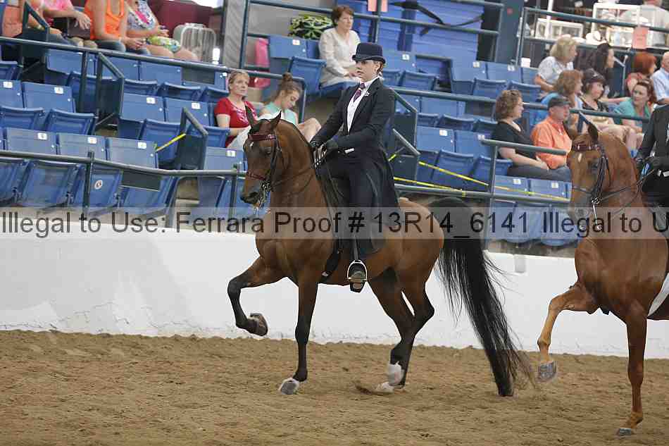 Proof Number 13r14_6141