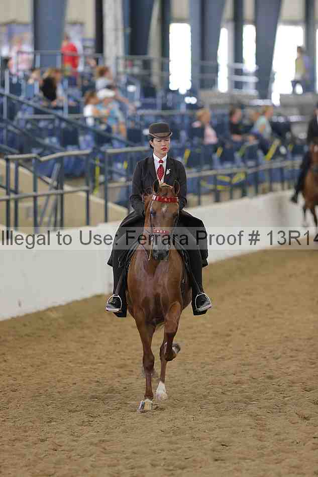 Proof Number 13r14_6144