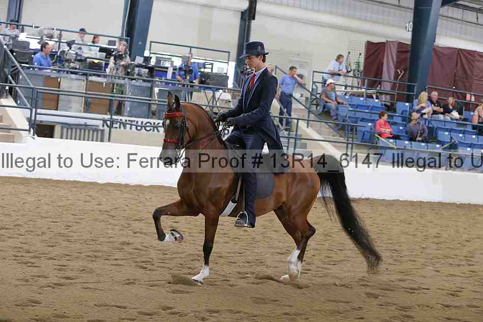 Proof Number 13r14_6147