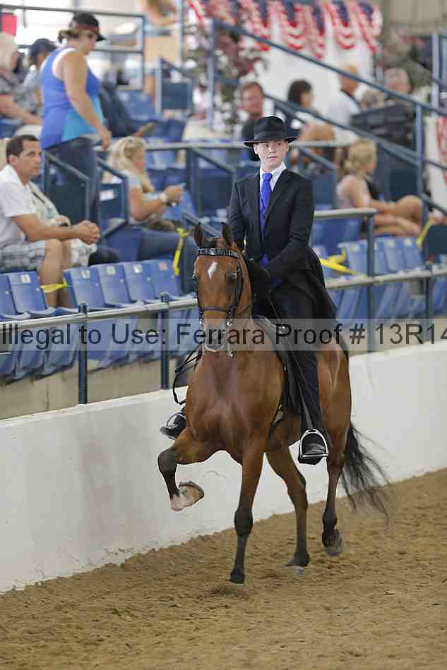 Proof Number 13r14_6148