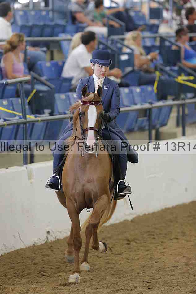 Proof Number 13r14_6154