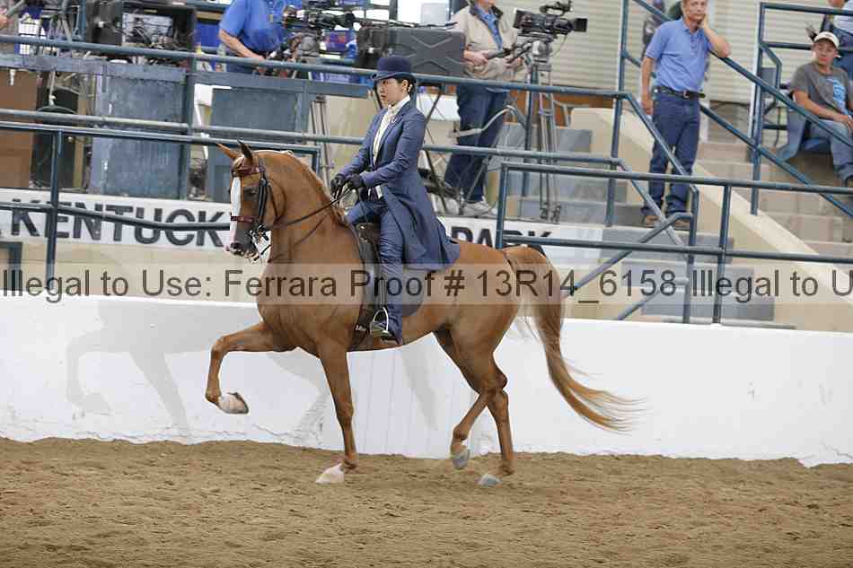 Proof Number 13r14_6158