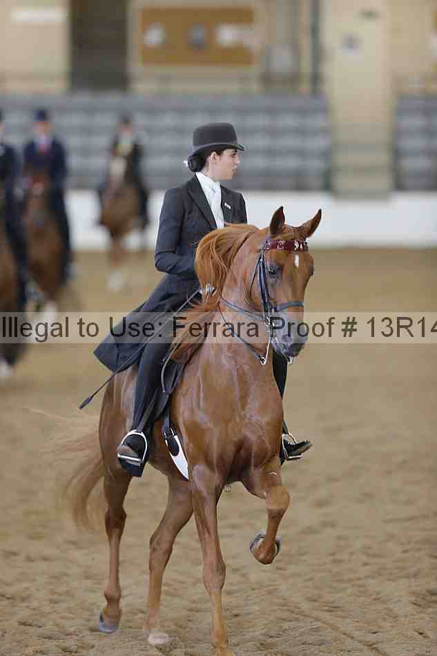 Proof Number 13r14_6159