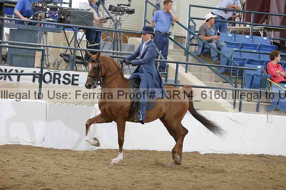 Proof Number 13r14_6160