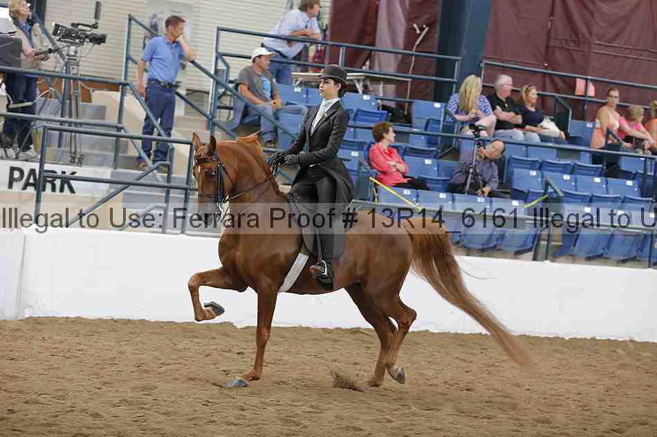 Proof Number 13r14_6161