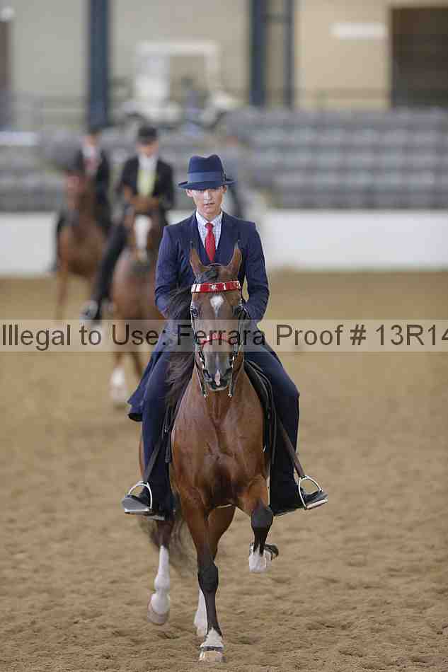 Proof Number 13r14_6162