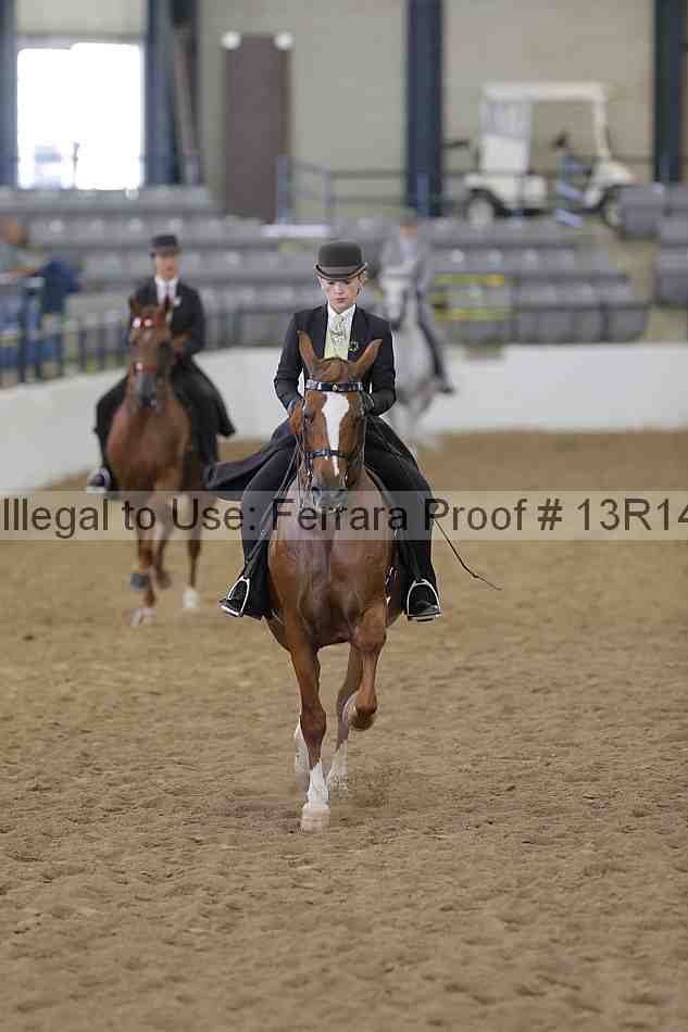 Proof Number 13r14_6163