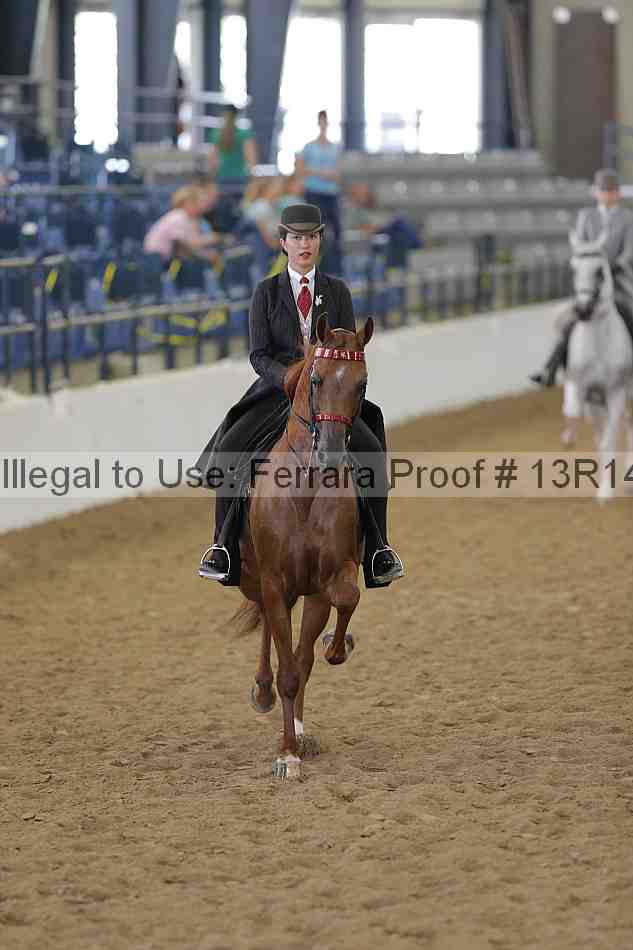 Proof Number 13r14_6164