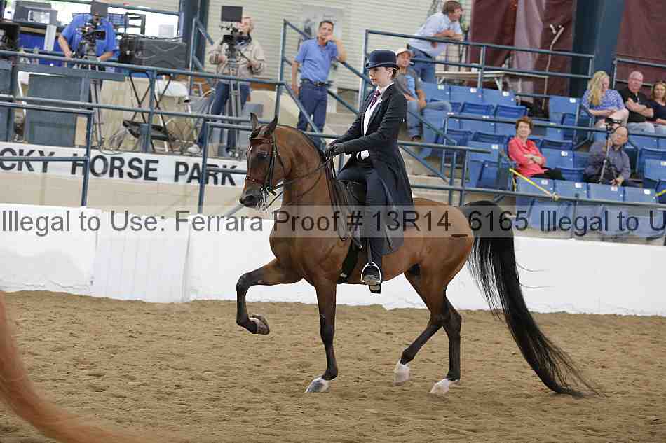 Proof Number 13r14_6165