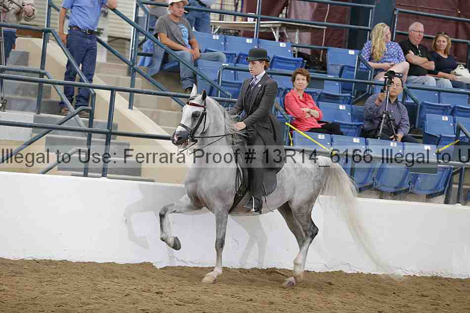 Proof Number 13r14_6166