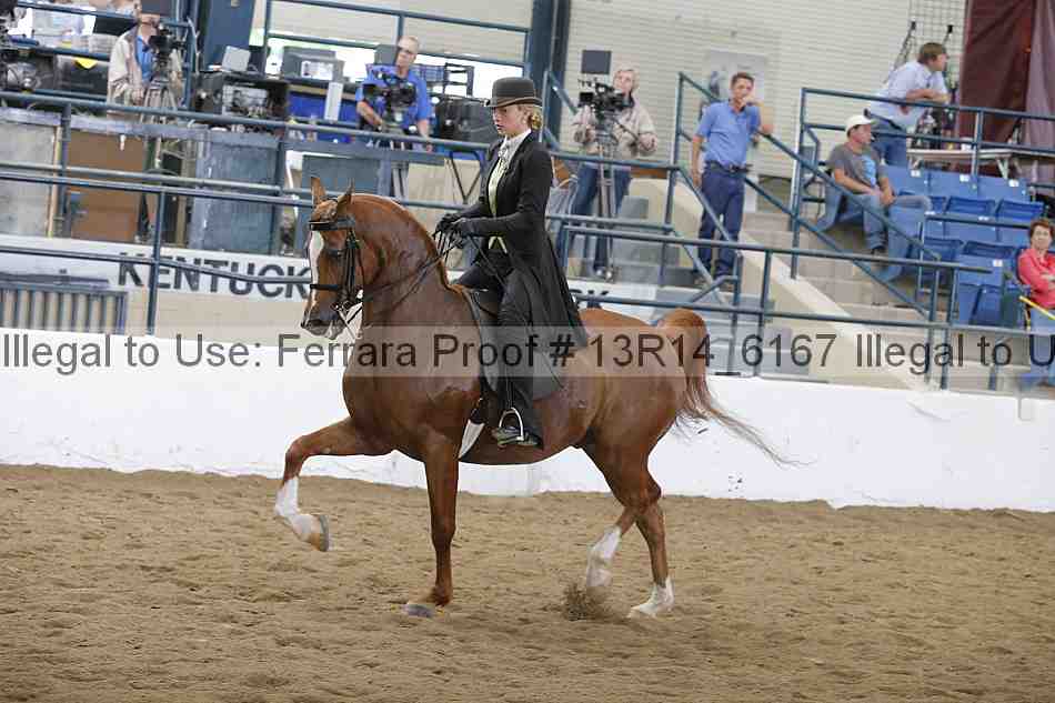 Proof Number 13r14_6167