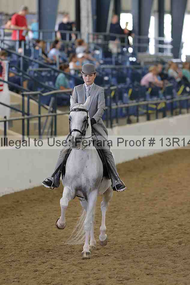 Proof Number 13r14_6168