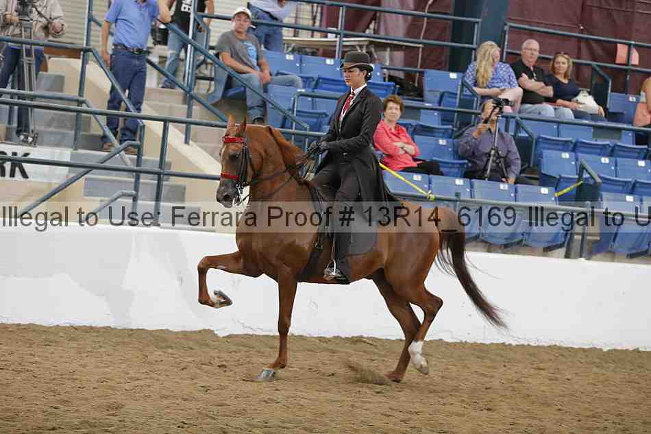 Proof Number 13r14_6169