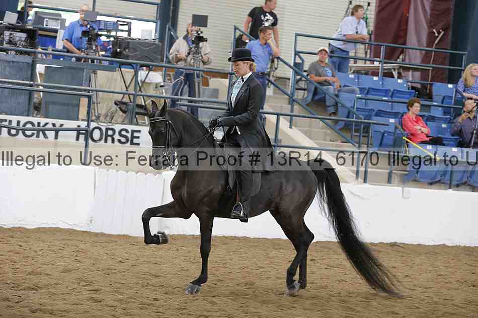 Proof Number 13r14_6170