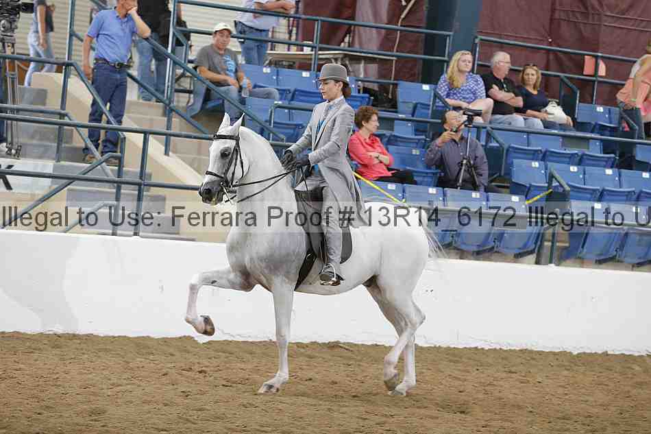 Proof Number 13r14_6172