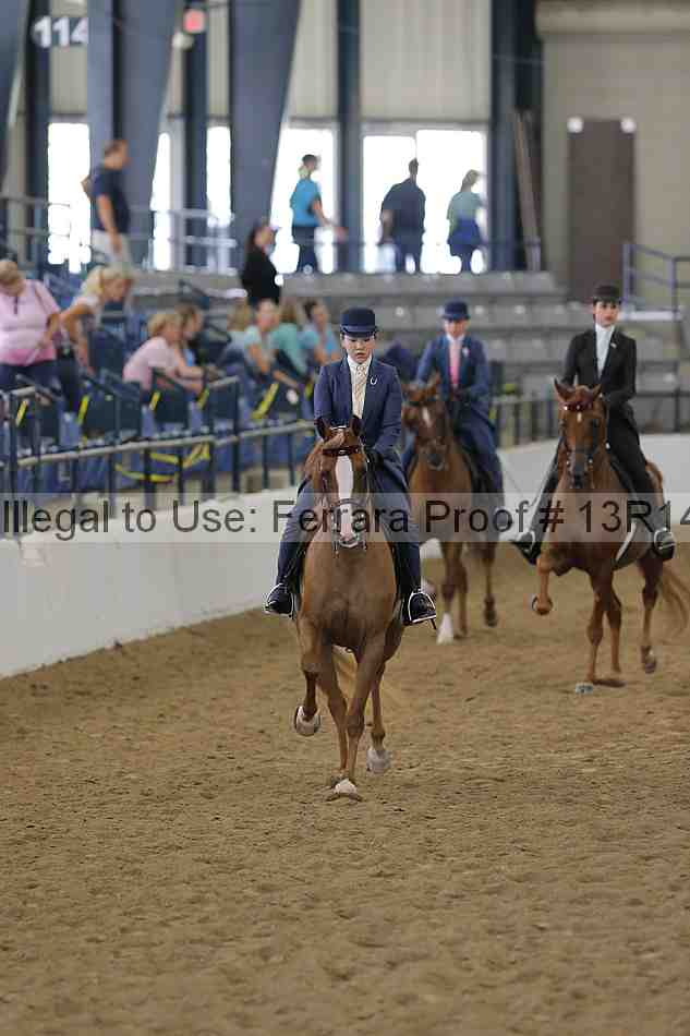 Proof Number 13r14_6173
