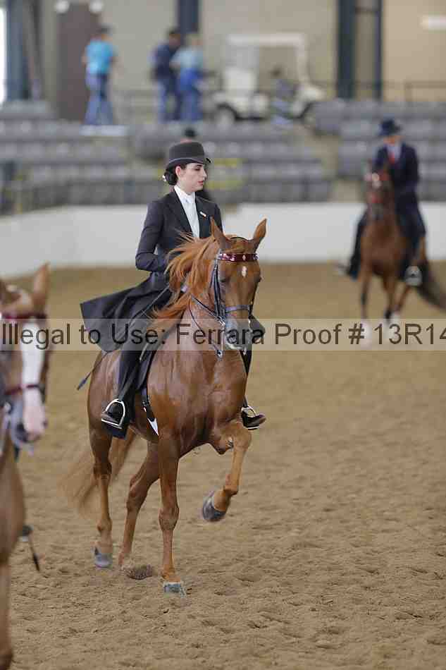 Proof Number 13r14_6174