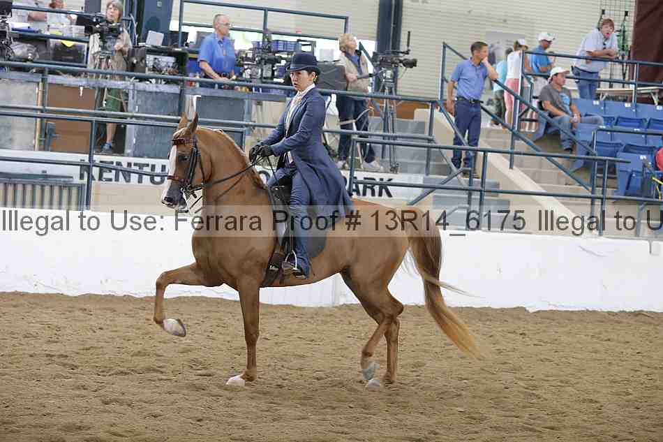 Proof Number 13r14_6175