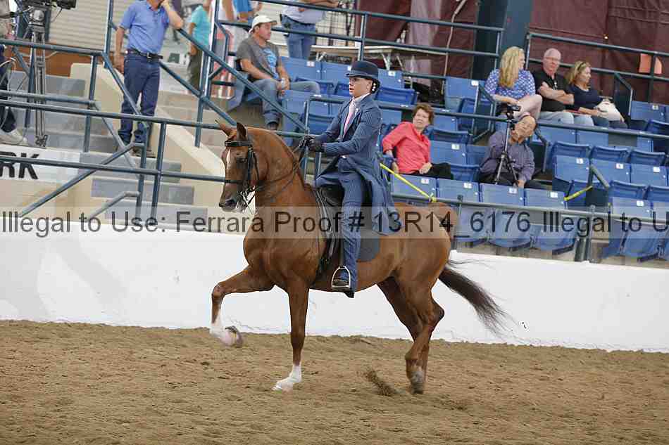 Proof Number 13r14_6176